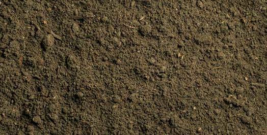 Quality topsoil