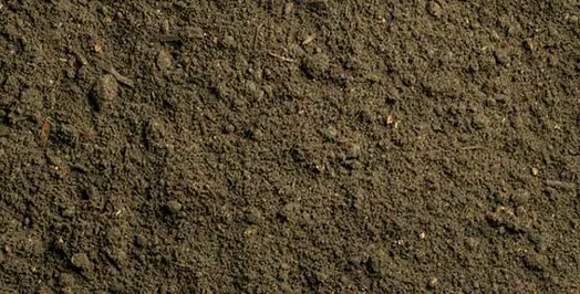 Quality topsoil